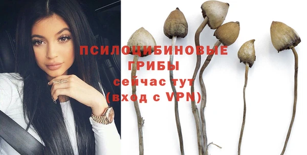 дурь Алзамай