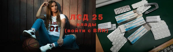 ГАЛЛЮЦИНОГЕННЫЕ ГРИБЫ Алексеевка