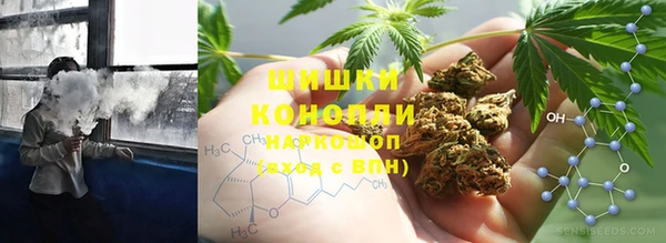 ГАЛЛЮЦИНОГЕННЫЕ ГРИБЫ Алексеевка