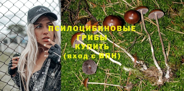 ГАЛЛЮЦИНОГЕННЫЕ ГРИБЫ Алексеевка