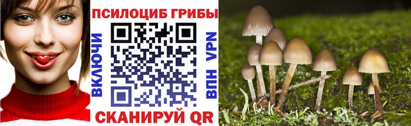 Галлюциногенные грибы мухоморы купить цена Светлоград